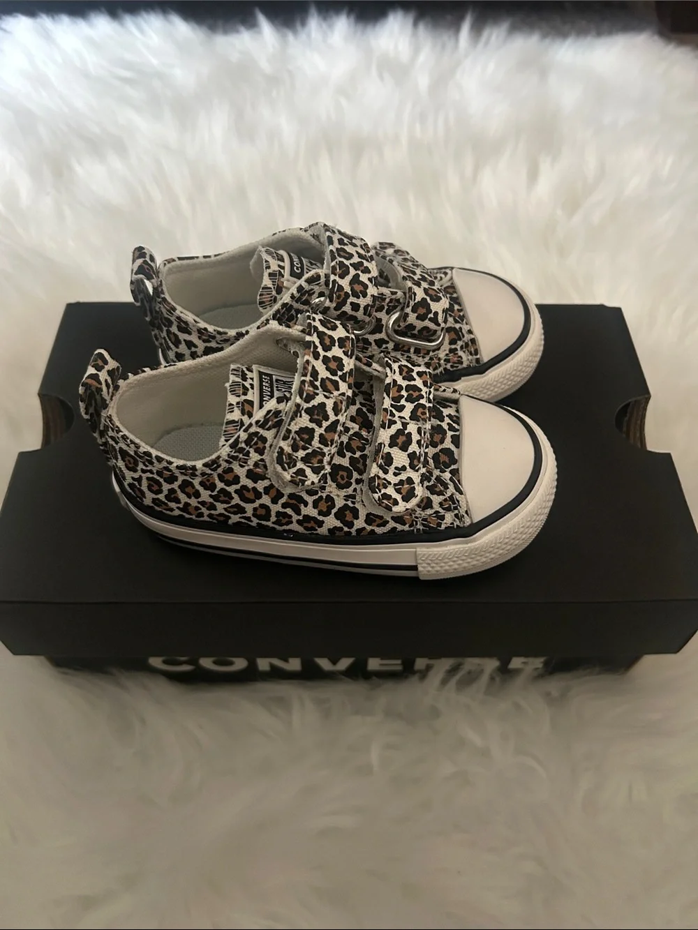 New in box cheetah print converse shoes size 5